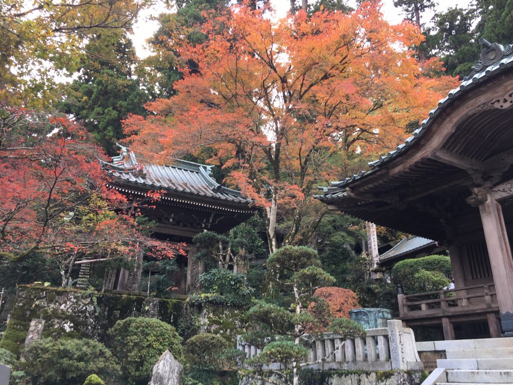 最乗寺紅葉情報 2 神奈川県南足柄市観光協会公式ホームページ Ya Hoo Ashigara やっほうー あしがら 南足柄市のおすすめ観光スポット イベントのご案内