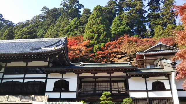 大雄山紅葉情報 11月18日現在 神奈川県南足柄市観光協会公式ホームページ Ya Hoo Ashigara やっほうー あしがら 南足柄市のおすすめ観光スポット イベントのご案内